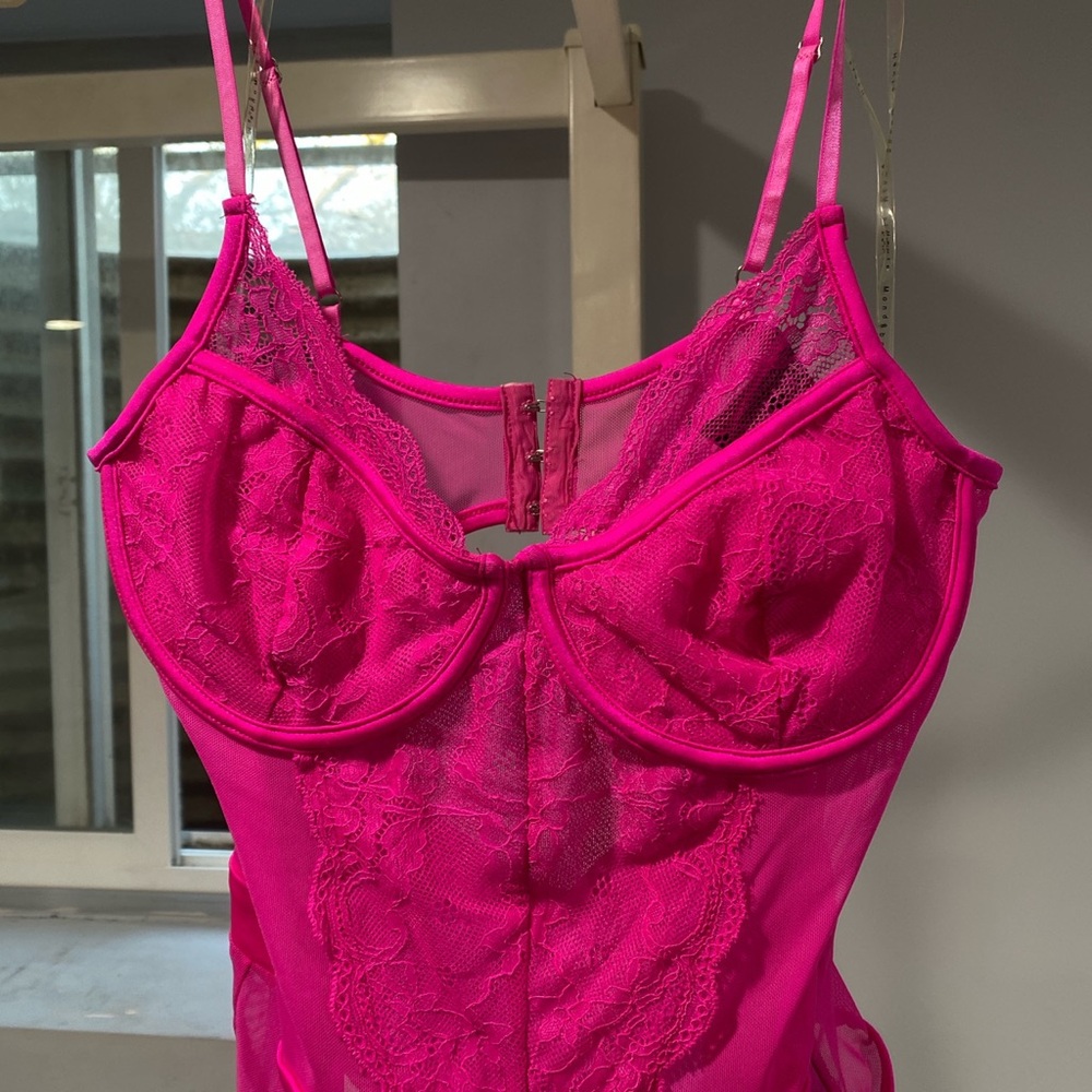 Akira Lacey/Sheer Pink Bodysuit